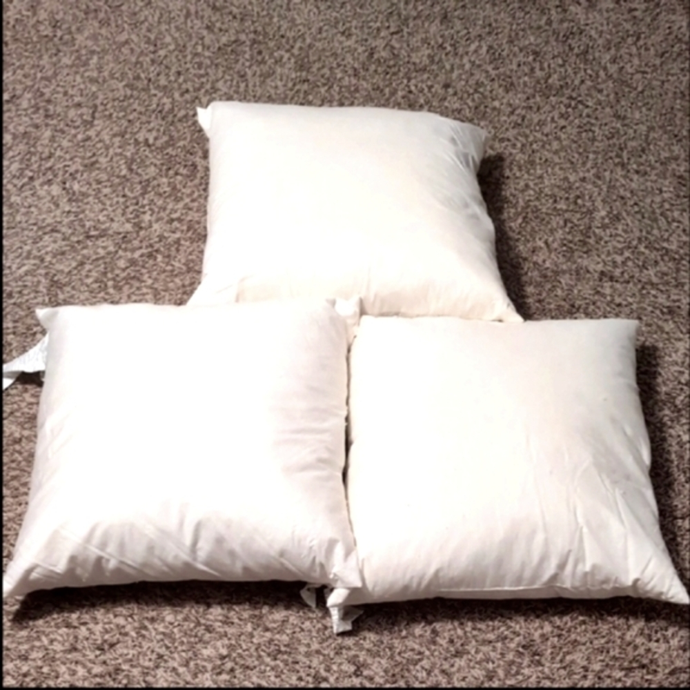 Restoration Hardware Square Pillow Inserts